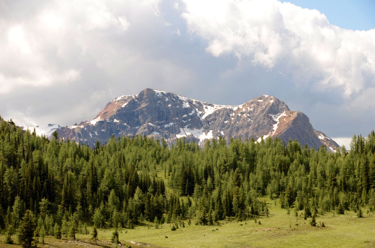 14 Simpson Ridge From Meadow Near Lake Howard Douglas On Hike To Mount Assiniboine